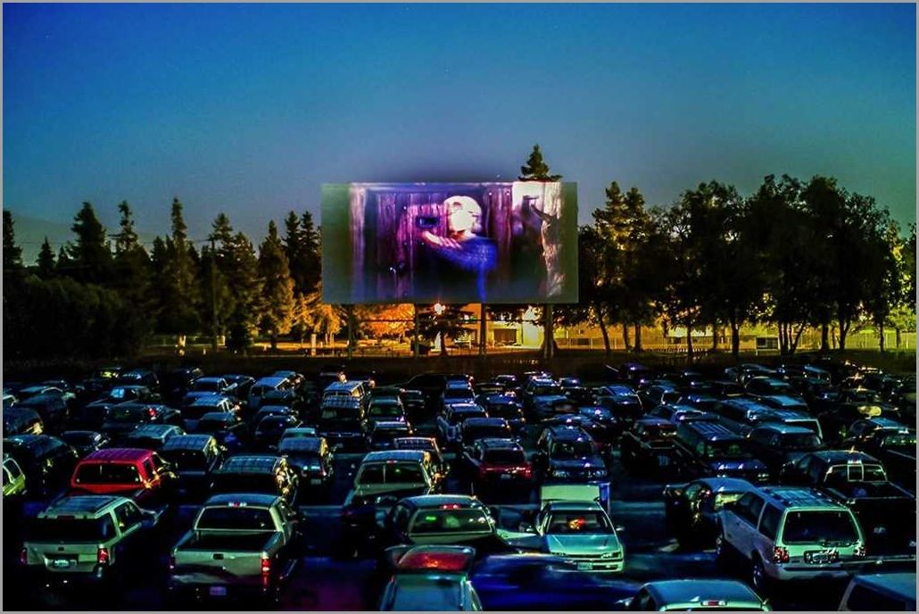 Number of Drive-in Theaters in the US
