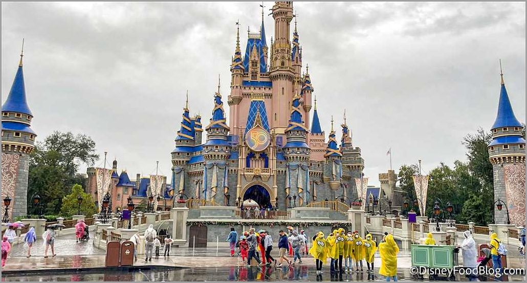 Does Disneyland Close When It Rains Find Out Here