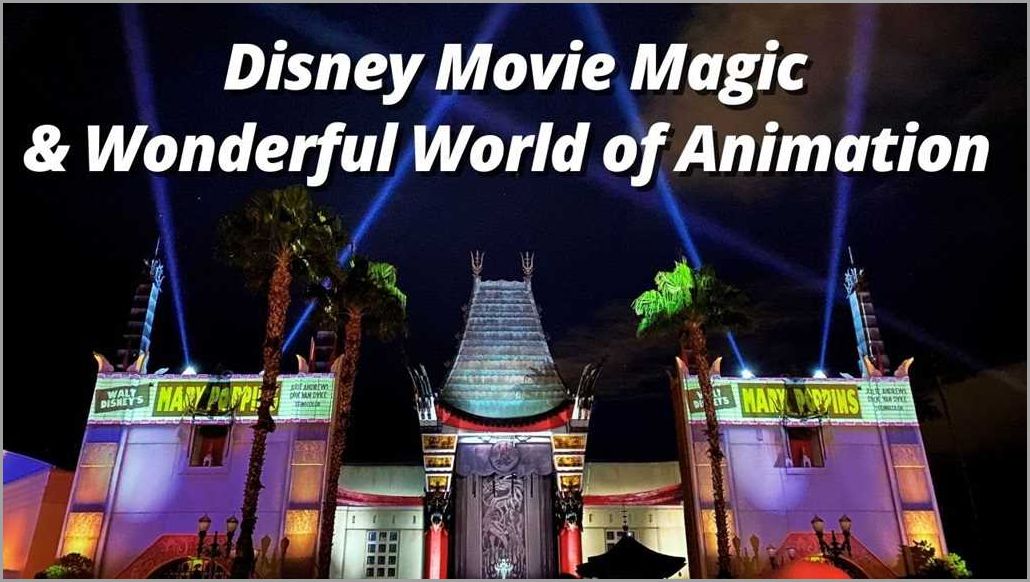 Experience the Magic of Hollywood Studios Night Show