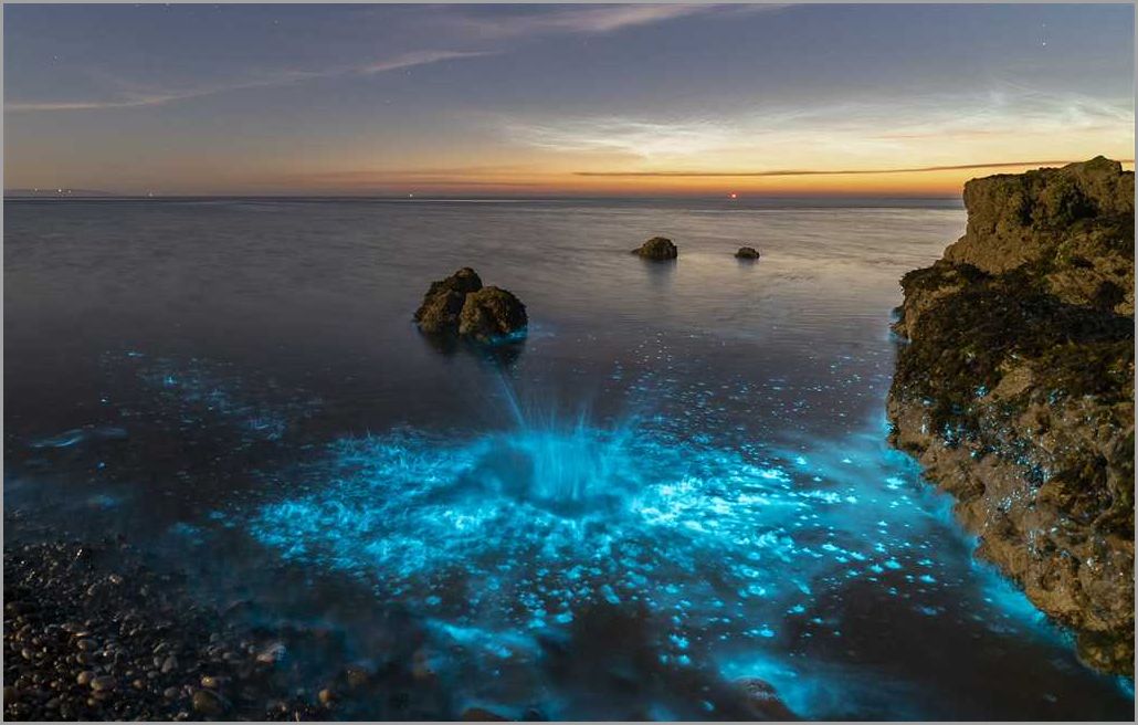 Discovering the Glow-in-the-Dark Sands