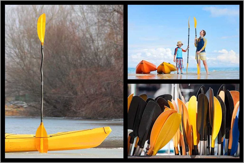 How long should a kayak paddle be The ultimate guide