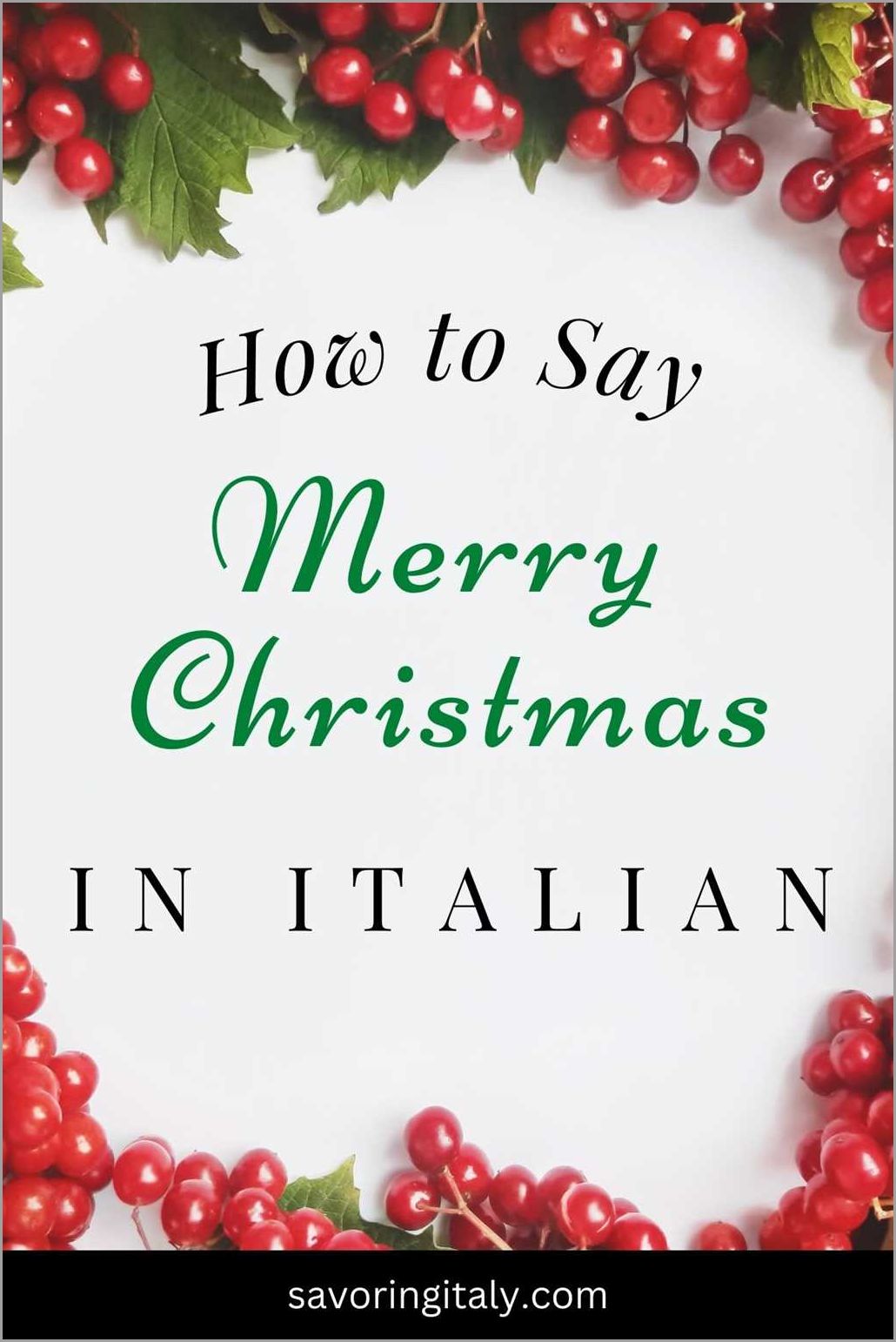 How to Say Merry Christmas in Italy A Complete Guide