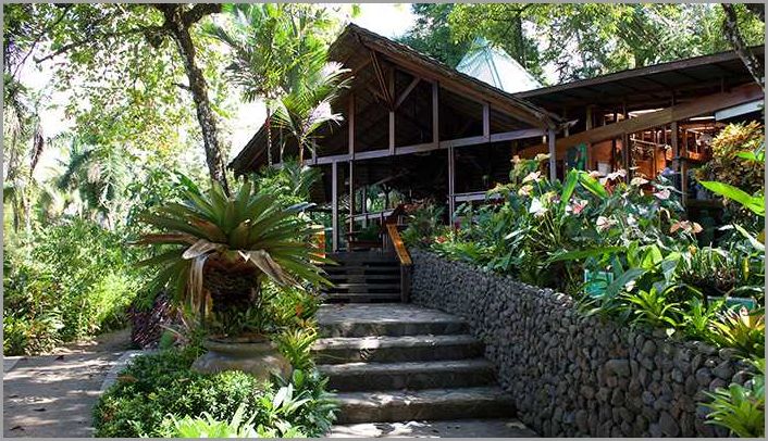 Rainforest Hotel Costa Rica Experience the untouched beauty of the jungle