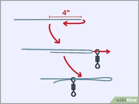 Create a loop with the line